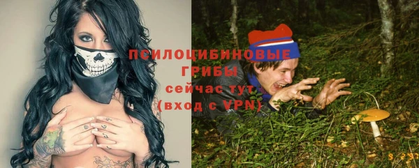 apvp Алексин